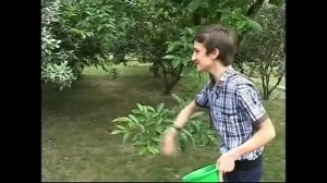 Фейхоа мем