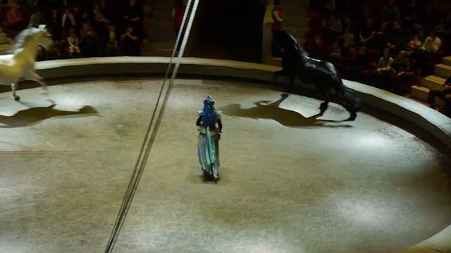 Танцующие лошадки смотреть онлайн