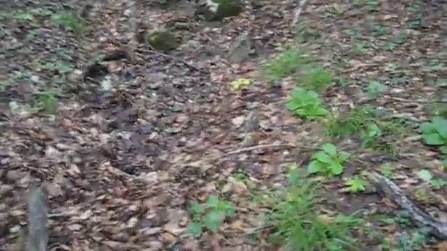 Родники горного Крыма 44 325098 смотреть онлайн