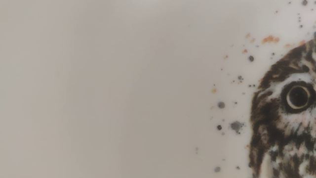 дабл шакал, бешеная сова читает рэп со дна тарелкт смотреть онлайн