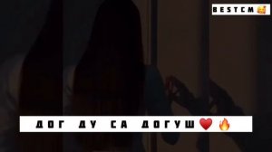 Красивая Чеченская Песня😻🔥Дог Ду Са Догуш