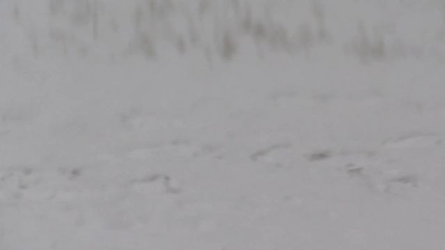 Первый снег смотреть онлайн