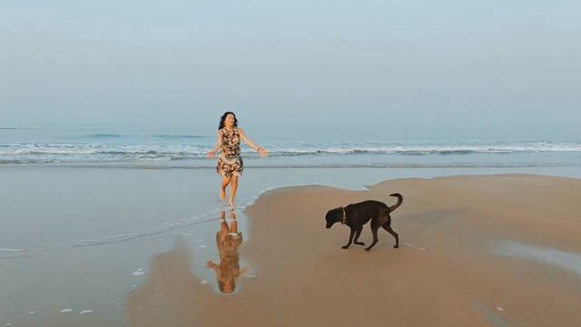 Good morning GOA! Доброе утро ГОА! смотреть онлайн