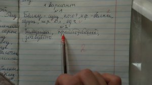 Проверяю контрольный диктант по русскому языку 4 класс