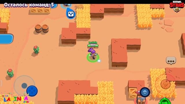 Лучшие моменты в Brawl Stars! Смешные видео в Бравл Старс! #лавиния #БравлСтарс #BrawlStars