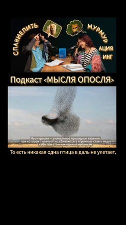 Мурмурация - скопление тысяч птиц. #shorts #птицы #фигуры #гипноз