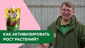 Как активизировать рост растений?