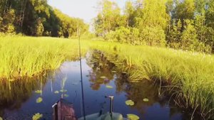 Рыбалка на поплавок и кружки  в Карелии . еле добрался до озера