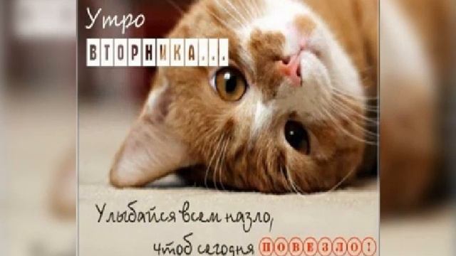 С вторником вас!