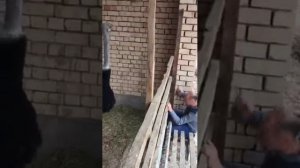 Супер прикол страус против узбек