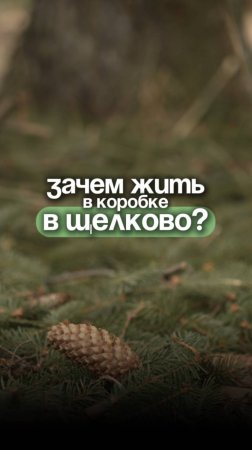 🏡 ЧТО ВАЖНЕЕ: ПРИВЫЧКА ИЛИ КОМФОРТ?