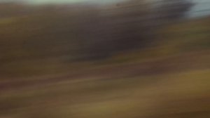 Два раллиста и один Гольф