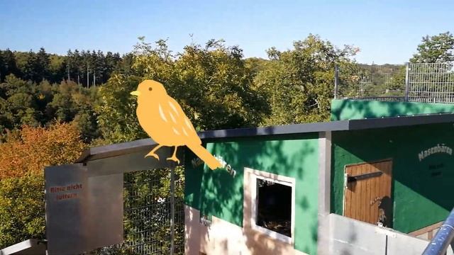 Keklik ile Avcı | Sesli Masal Dinle Türkçe Yeni смотреть онлайн