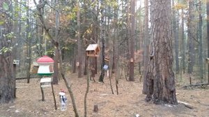 Нефтекамск "Тропа здоровья"