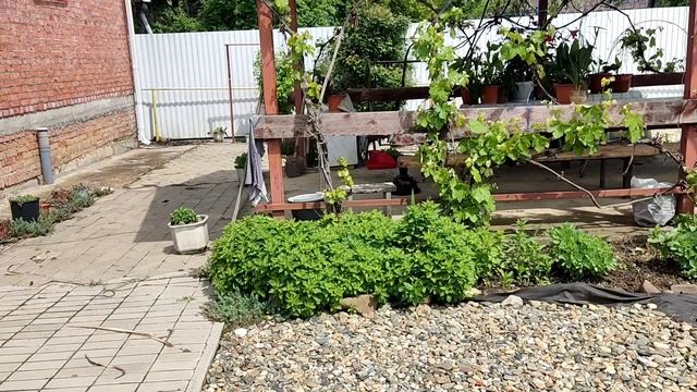 С Красной Горкой!#Мой двор# Посещаем Ашан и рынок Манораму. #Распаковкп
