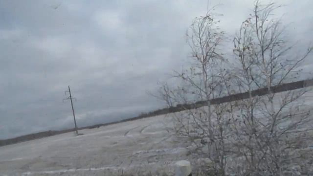 С днём сельской Женщины! Косули. смотреть онлайн