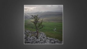 Я снимал на Nikon Z8, но думаю, что остановлюсь на Nikon Z7II