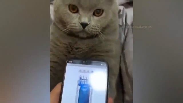 ЭТОТ НЕЛОВКИЙ МОМЕНТ. НЕ ДЕТСКИЕ ПРИКОЛЫ.  ЗАЧЕТНАЯ ПОДБорка