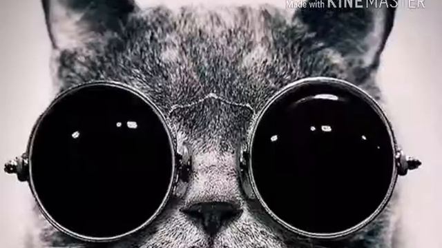 Крутая музыка смотреть онлайн