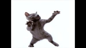 ТАНЦУЮЩИЕ КОТЫ HD/ прикол с 2000х