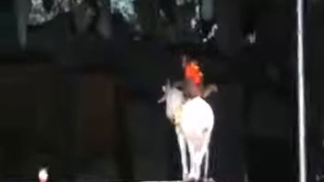 2 октября 2020 г. смотреть онлайн