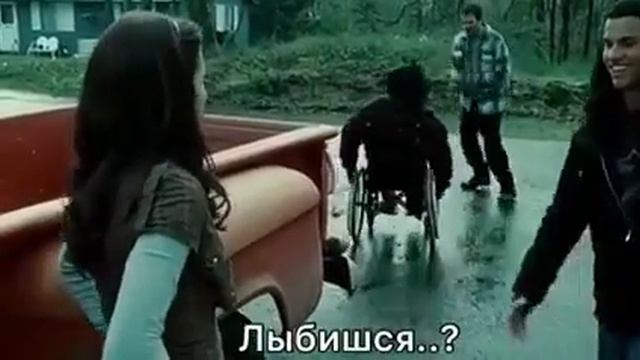 Сумерки прикол