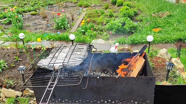 Запекаем скумбрию на даче.