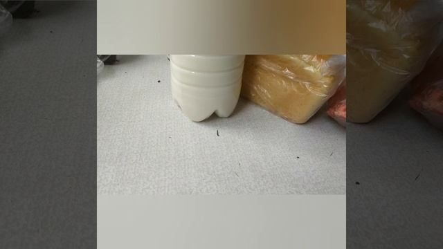 ИСПУГАЛАСЬ, УТРОМ БЫЛА РАДА.