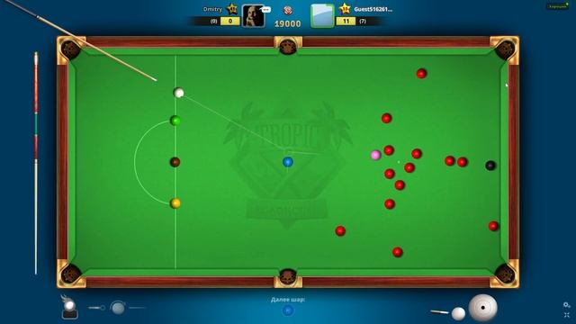 Pool Live Pro, №0250. Гость проник в мою больную душу