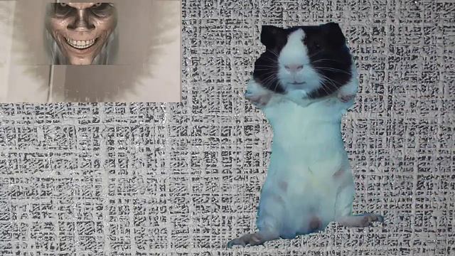 Машу заколдовала злая колдунья Бакс в отпуске