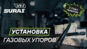 Замена газовых упоров SURAI на Skoda Rapid