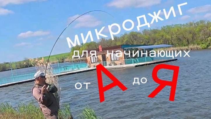 Судак на микроджиг : учимся ловить с нуля. Полная инструкция от А до Я . От новичка до Профи.