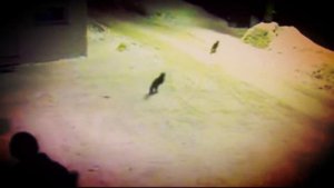 100 КУРЬЕЗНЫХ ПРИКОЛОВ ПРО ОХРАННИКОВ