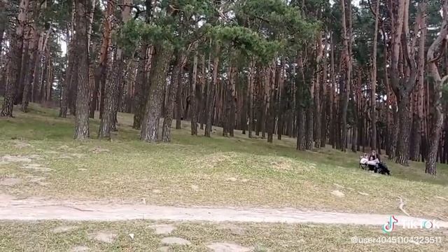 ГЫ-ГЫ смотреть онлайн