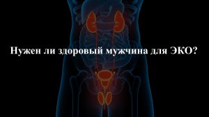Нужен ли здоровый мужчина для ЭКО?