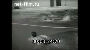 1976г. колхоз имени Кирова. станица Новоминская Каневский район Краснодарский край.