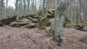 Парк Марьина гора. Часть 1-я.