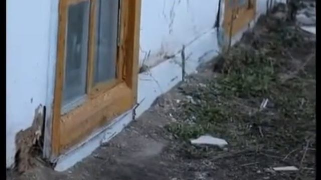 Кокше нуры 13.11.2018 смотреть онлайн