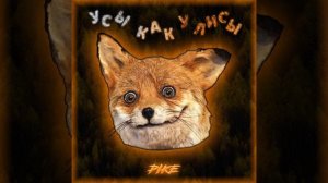 УСЫ КАК У ЛИСЫ