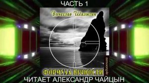 02.01 Вячеслав Шалыгин "Сыщик Туманов" (книга 2) "Формула вечности" (часть 1)