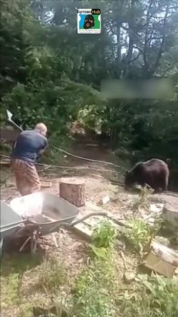 Медведь 🐻 и Русский Мужик с Топором