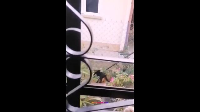 ПРИКОЛЫ В ТИК ТОК 2021😎ЧУДИКИ ИЗ ТИК ТОК😎ПРИКОЛЫ 2021😎ПРИКОЛЫ😎Ржака Угар Приколюха Тренды Тикток