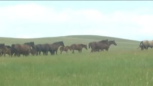 Паломнический тур по святыням Намнанай багша 2019