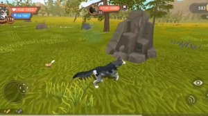 ТОП 20 БАГОВ В ВАЙЛД КРАФТ ➣WildCraft Julia Wisse