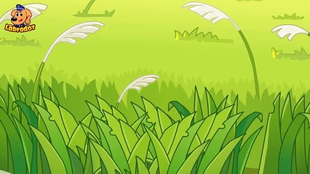 Опасное Болото | Безопасность в жизни | 🔍Новый эпизод | 🎒Образовательный мультик | Шериф Лабрадор
