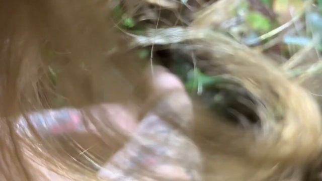 DIY Bioactive Chameleon Vivarium #2 смотреть онлайн