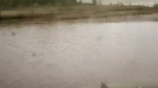 Язь !!! Йазь !!! (Denvil Remix) смотреть онлайн