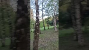 1000461405.mp4. 9 мая 2024 АЛЛЕЯ ПАРТИЗАН ПОДМОСКОВЬЯ В ПАРКЕ 50-ЛЕТИЯ  ВЕЛИКОГО ОКТЯБРЯ