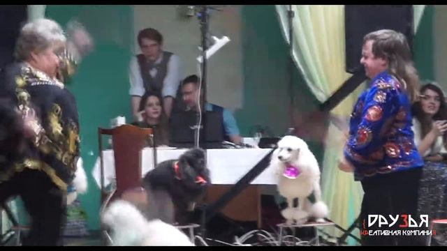 Цирковое шоу смотреть онлайн