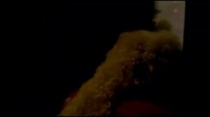 Джек Воробей судит друга :)  #прикол #film #pirates #johnnydepp